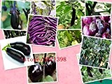 ca. 100 Samen / Pack, Zier Goyo Kumba Aubergine-Samen aus biologisch angebauten Gemüsesamen