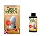 Cactus Focus Umtopf Mix 2 Liter Tasche & Kaktus Focus 100 ml Feed