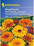 Calendula officinalis Ringelblume Touch of Red Mix Mischung mit roter Rückseite