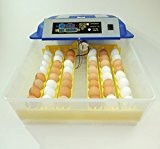 Campo24® V48 Motorbrüter für 48 Eier/Inkubator/Vollautomatischer Motorbrüter/ Incubator