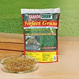Canada-Green PERFECT GRASS 1,5 Kg - (R950)