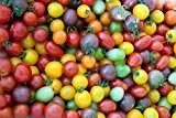 Cherry-Tomate Rainbow Cherry - 20 Samen