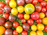 Cherry Tomaten *Bunter Mix* 25 Samen viele verschiedene Farben/Sorten bunt gemischt -Zuckersüße Sorten-