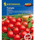 Cherry-Tomaten "Primavera",1 Portion