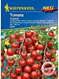 Cherry-Tomaten Tropical, Resistent