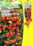 Cherrytomate Tomate Micro Lycopersicon esculentum Kirschtomate