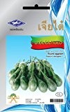 Chia Tai Round Eggplant(Khai Tao Kheaw) Seeds,Thai plants,House plant,Tropical plant,Seeds,Tree 240 Seeds