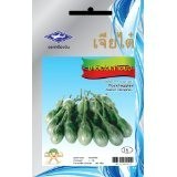 Chia Tai Runde Eggplant(Khai Tao Kheaw) Samen, Thai Pflanzen, Haus Pflanzen, tropische Pflanze, Samen, Baum-240-Samen