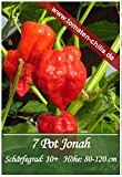 Chili Samen - 15 Stück - 7 Pot Jonah - extrem scharf