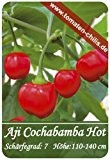 Chili Samen - 15 Stück - Aji Cochabamba Hot