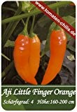 Chili Samen - 15 Stück - Aji Little Finger Orange