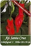 Chili Samen - 15 Stück - Aji Santa Cruz