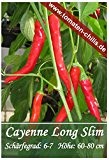 Chili Samen - 15 Stück - Cayenne Long Slim