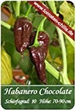 Chili Samen - 15 Stück - Habanero Chocolate