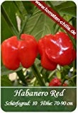 Chili Samen - 15 Stück - Habanero Rot