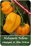 Chili Samen - 15 Stück - Habanero Yellow