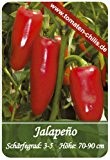 Chili Samen - 15 Stück - Jalapeno