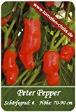 Chili Samen - 15 Stück - Peter Pepper