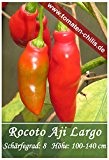 Chili Samen - 15 Stück - Rocoto Aji Largo