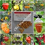 Chilis - 12 Chilisorten mind. 60 Samen - in einem Beutel verpackt mit Bilder !!