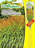 Chinaschilf Miscanthus sinensis Stachelschweingras Gras Ziergras