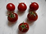 Choco-Tomate (Dunkel) "Neue resistente Sorte" 10 Samen (RAR)