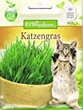 Chrestensen 'Katzengras' Saatmischung