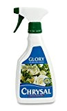 Chrysal Blumenfrisch Professional Glory 500 ml