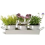 CKB Ltd® Set of 3 Pots on Tray Metal Vintage Windowsill Planter Kräutergarten Kit für Fensterbank Metall Vintage Pflanzgefäß für ...