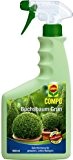COMPO Buchsbaum Grün, Pflanzenhilfsmittel, Pumspray für alle Buchsbäume und immergrüne Pflanzen, 500 ml