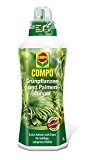 Compo Grünpflanzen- und Palmendünger 1 Liter ideale Nährstoff-Kombination Düngemittel mit Sofortwirkung