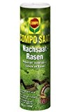 COMPO SAAT® Nachsaat-Rasen, hochwertige Rasensamen-Mischung mit ausgewählten Spitzensorten, schließt vorhandene Rasenlücken in kurzer Zeit, 380 g für 19 m²