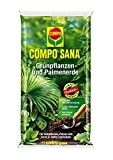 COMPO SANA® Grünpflanzen- und Palmenerde, hochwertige Spezialerde für alle Grünpflanzen, Palmen und Farne in Töpfen und Kübeln, 5 L