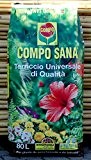 COMPO SANA UNIVERSAL BODEN IN PACKUNG mit 80 LT