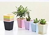 COOLWILL® Platz Kunststoff-Blumentöpfe Bunte Succulents Töpfe mit Tray Leichte Garten-Dekoration Set von 7 ((7 × 7 × 8 cm))
