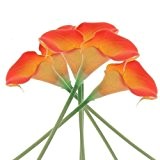 Cozyswan 6 Stück künstliche PU Calla Lilien Blumen Real Touch Kunststoff dekorative Blumen Sonnenuntergang-Orange