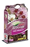 CUXIN DCM AKTIV-ERDE Orchideen 10 l