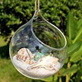 dealglad® Rund Transparent Glas Blumentopf zum Aufhängen Glas Vase Home Decor Ornament, glas, farblos, 15*15*15cm