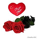 Decoflorales® - Eine echte, konservierte Rose. Haltbare Rose. Unvergängliche Rose. (Stiellänge 55 cm, Blütenfarbe Rot, inklusive Herzkissen "Ich liebe Dich")