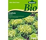 Dehner Bio Gemüse-Saatgut, Endivie "Nuance", 5er Pack (5 x 0.6 g)