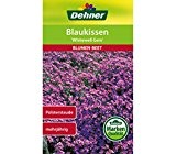 Dehner Blumen-Saatgut, Blaukissen "Whitewell Gem", 5er Pack (5 x 0.5 g)