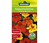 Dehner Blumen-Saatgut, Kapuzinerkresse "Rankende Mischung", 5er Pack (5 x 6 g)