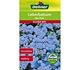 Dehner Blumen-Saatgut, Leberbalsam "Blue Mink", 5er Pack (5 x 0.6 g)
