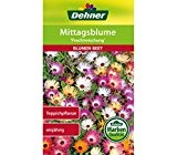 Dehner Blumen-Saatgut, Mittagsblume "Prachtmischung", 5er Pack (5 x 0.8 g)