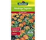 Dehner Blumen-Saatgut, Niedrige Tagetes, "Bolero", 5er pack (5 x 1.3 g)