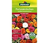 Dehner Blumen-Saatgut, Portulakröschen, "Gefüllte Prachtmischung", 5er pack (5 x 0.7 g)