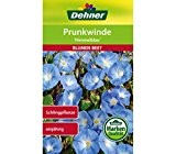 Dehner Blumen-Saatgut, Prunkwinde "Himmelblau", 5er Pack (5 x 2.5 g)