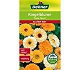 Dehner Blumen-Saatgut, Ringelblume "Fiesta Gitana", 5er pack (5 x 3 g)