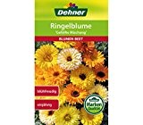 Dehner Blumen-Saatgut, Ringelblume, "Gefüllte Mischung",5er pack (5 x 2.5 g)