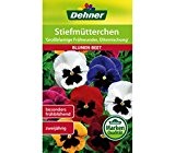 Dehner Blumen-Saatgut, Stiefmütterchen "Großblumige Frühwunder, Elitemischung", 5er Pack (5 x 0.5 g)
